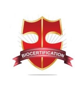 Certified Biometrics Security Professional (CBSP) Mock Exam