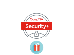 CompTIA Security+ Practice, Mock, and Flashcard special bundle.
